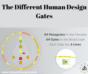 The Different Human Design Gates